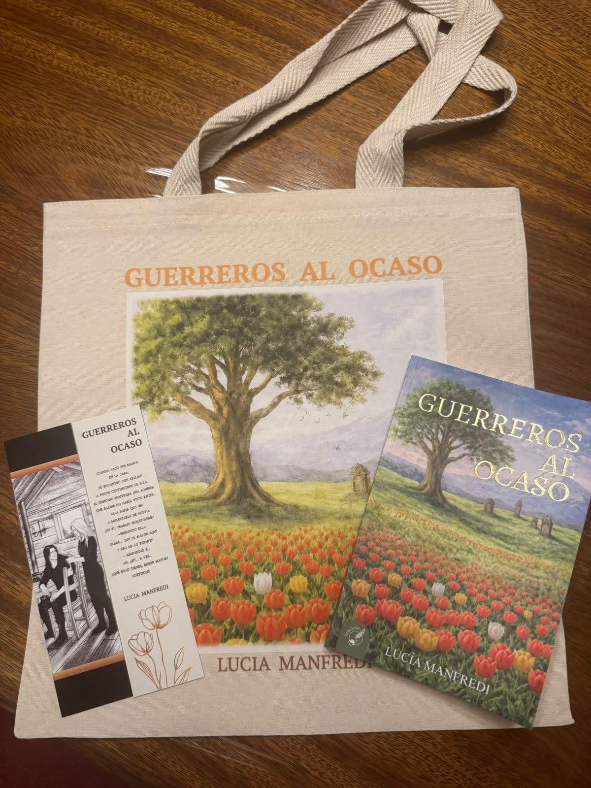 El libro, el señalador y la totebag de la presentación